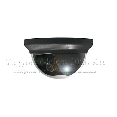 riasztóbolt, riasztobolt, AV-TECH AVC152P/F36 960H dome kamera
