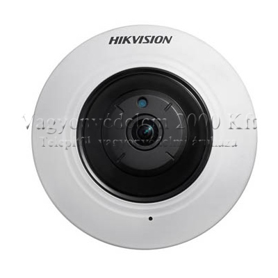 riasztóbolt, riasztobolt, Hikvision DS-2CD2942F IP dome kamera