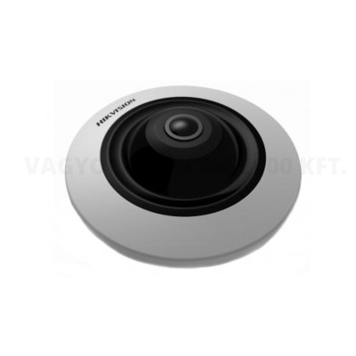 riasztóbolt, riasztobolt, Hikvision DS-2CD2955FWD-IS IP kamera