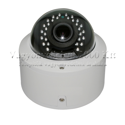 riasztóbolt, riasztobolt, Neon EIP 6421DNW kültéri IP dome kamera