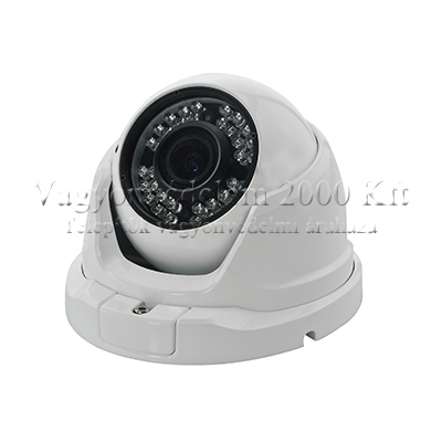 riasztóbolt, riasztobolt, Neon EM-3140DNW kültéri dome kamera